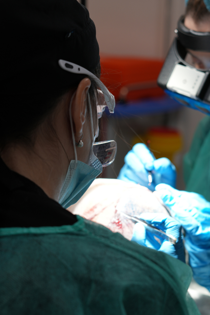 Capilaris Community Manager Málaga